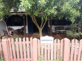 Figueira - Casa da aroeira